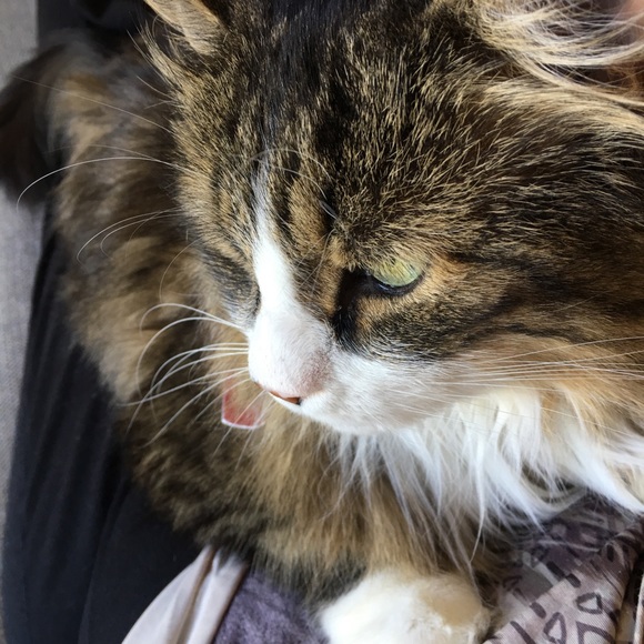 Meet your Posher, Kim - Picture 4 of 6